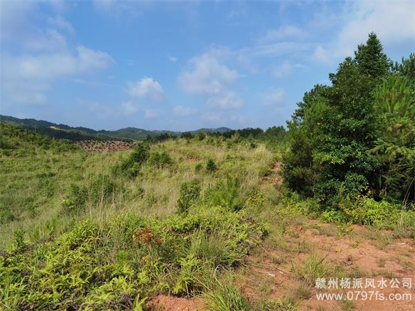 三沙市带着徒弟上山学杨公风水现场操作