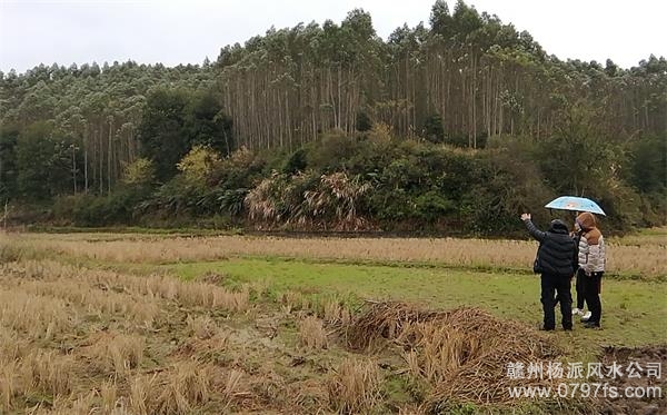 三沙市陈老师带着爱徒寻龙点穴